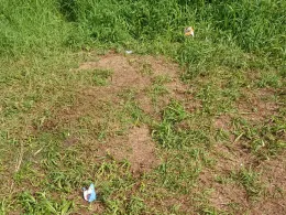 Hunte (Wildeshausen)