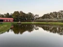 Stauning Fiskesø-1