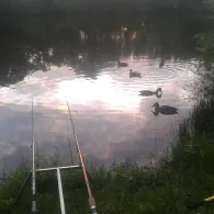 Kiesgrube Breitungen-4