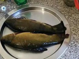 Sportparksee Grambke-2