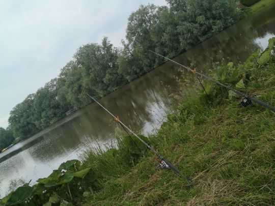 Mahlbusen (Dornumersiel)