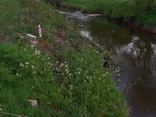 Soeste (Friesoythe)-4