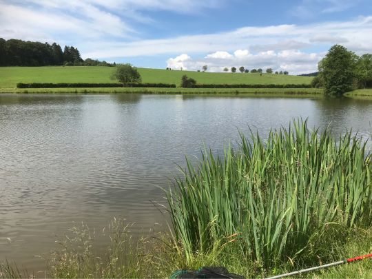 Vereinsweiher Dreis-Brück