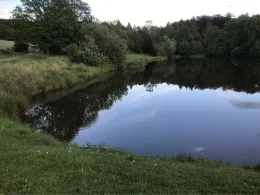 Vereinsweiher Dreis-Brück-4