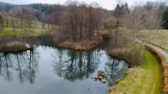 Vereinsweiher Dreis-Brück-2