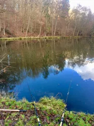 Kleebach (Langgöns)-1