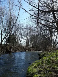 Holtemme (Derenburg)