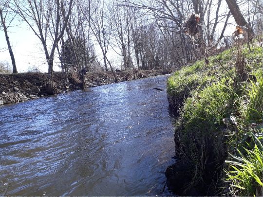 Holtemme (Derenburg)-1