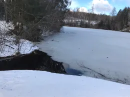 Bergrat-Müller-Teich