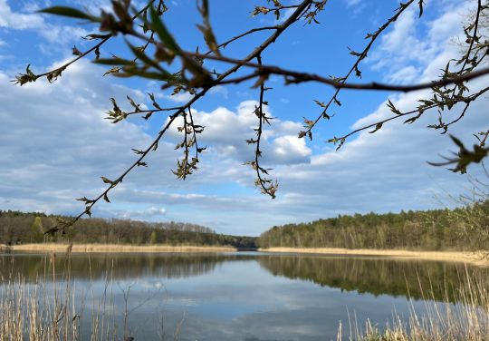 Großdöllner See