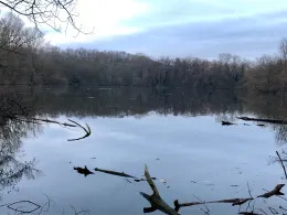 Baggersee Kirchheim am Neckar-4