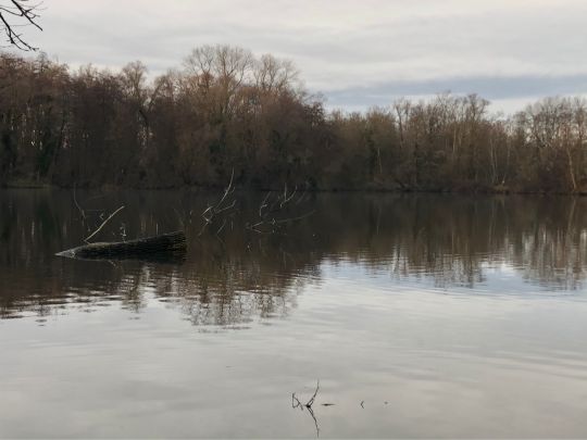 Baggersee Kirchheim am Neckar-2