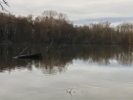 Baggersee Kirchheim am Neckar-2