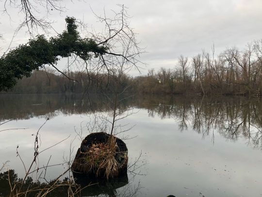 Baggersee Kirchheim am Neckar-3