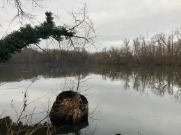 Baggersee Kirchheim am Neckar-3
