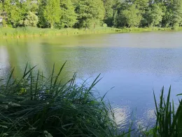 Mühlteich (Neershof)