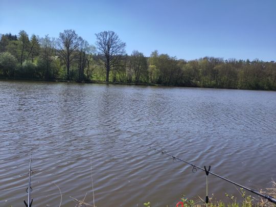 Mühlteich (Neershof)-1