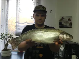 Fränkische Rezat (Ansbach)