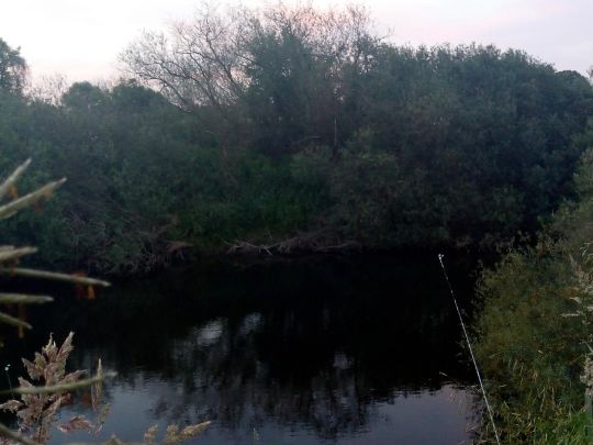 Ems (Emsdetten)-2