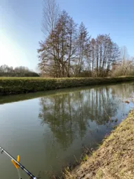 Gersprenz (Groß-Zimmern)