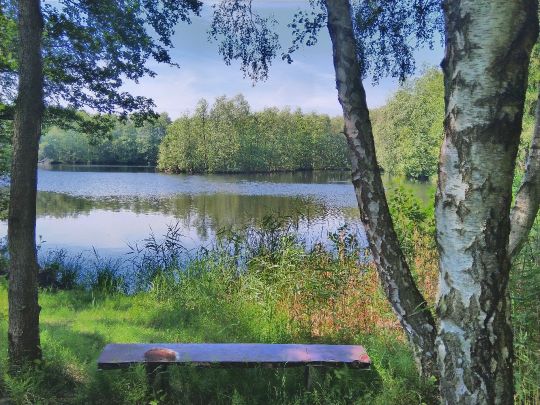 Schwarzer See (Seevetal)-1