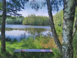 Schwarzer See (Seevetal)-1