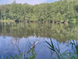 Schwarzer See (Seevetal)