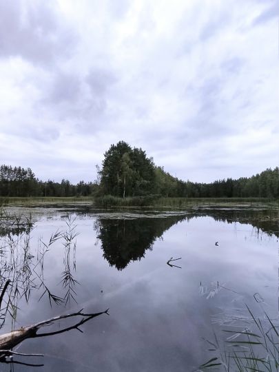 Hühnerwässerchen-2