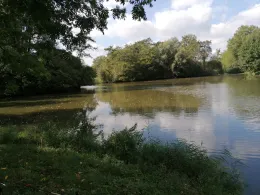 Stadswateren Arnhem-1