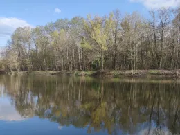 Forsteckweiher (Dieburg)