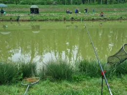 Ètang (Geiswasser)-2