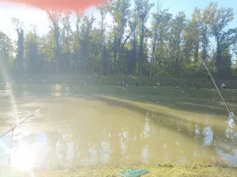 Ètang (Geiswasser)-4