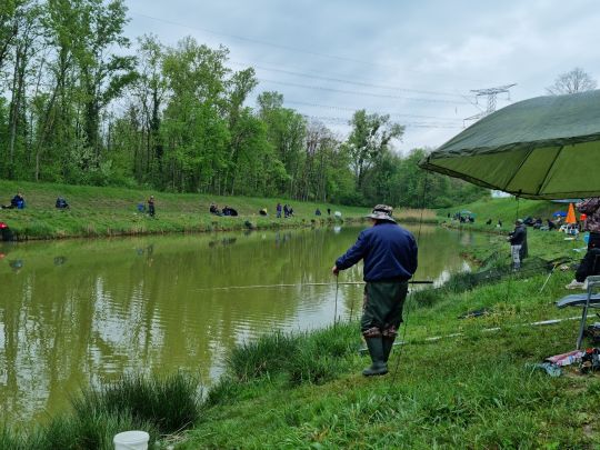 Ètang (Geiswasser)-1