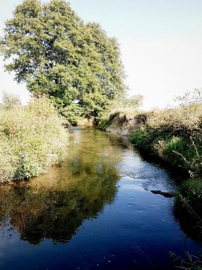 Angeln in Rotter Forst-Süd