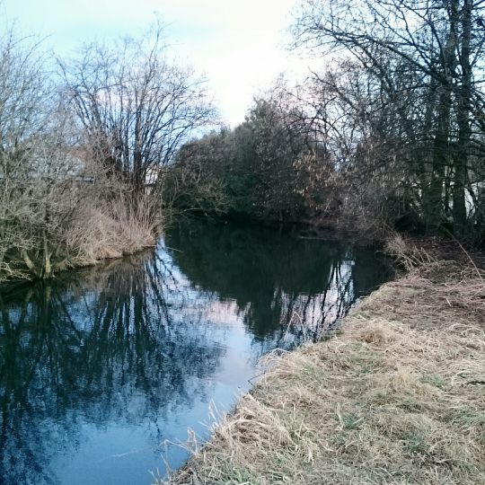 Glonn (Innerthann)-3