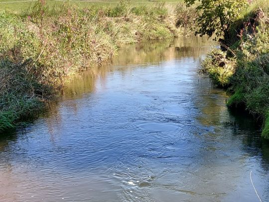 Glonn (Innerthann)-2