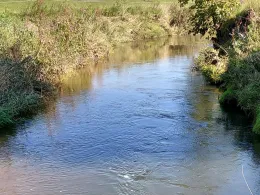 Glonn (Innerthann)-2