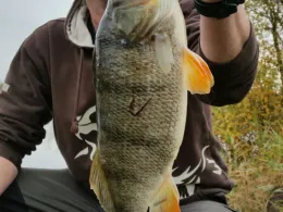 Wallersee Gruber (Cham)