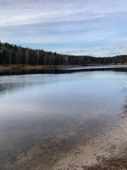 Waldsee (Gifhorn)