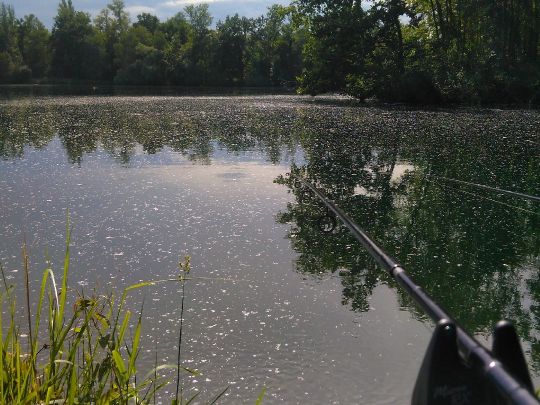 Baggersee Auenheim-1