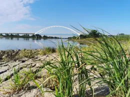 Elbe (Tangermünde)-3