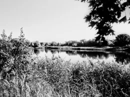 Butzer See (Hellersdorf)-3