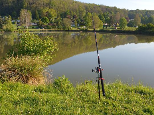 Teichanlage Hotelpark Hohenroda-1