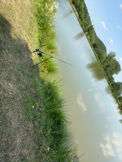 Teichanlage Hotelpark Hohenroda-4