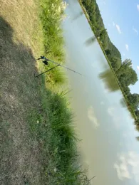 Teichanlage Hotelpark Hohenroda-4