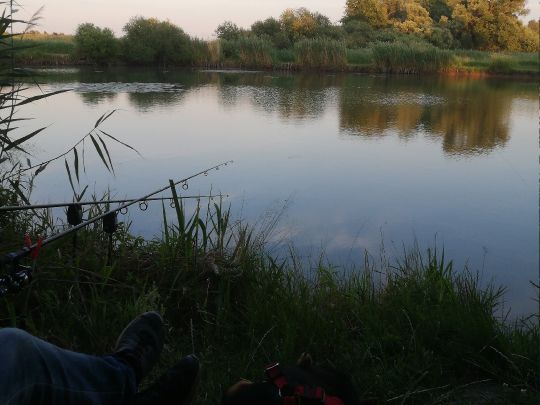 Lehmausstiche Coswig-1