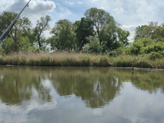 Wriezener Alte Oder (Bad Freienwalde)-4