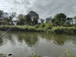 Wriezener Alte Oder (Bad Freienwalde)-3