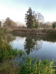 Wriezener Alte Oder (Bad Freienwalde)