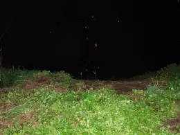 Wriezener Alte Oder (Bad Freienwalde)-2